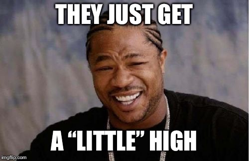 Yo Dawg Heard You Meme | THEY JUST GET A “LITTLE” HIGH | image tagged in memes,yo dawg heard you | made w/ Imgflip meme maker