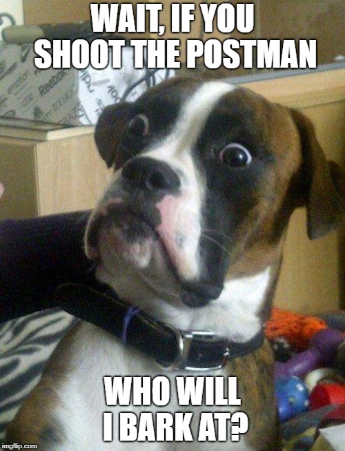 Blankie the Shocked Dog | WAIT, IF YOU SHOOT THE POSTMAN; WHO WILL I BARK AT? | image tagged in blankie the shocked dog | made w/ Imgflip meme maker