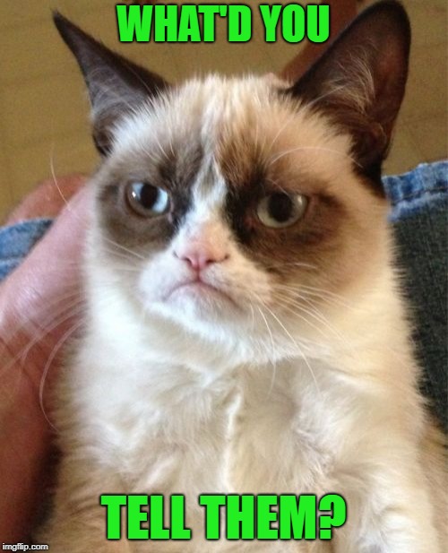 Grumpy Cat Meme | WHAT'D YOU TELL THEM? | image tagged in memes,grumpy cat | made w/ Imgflip meme maker