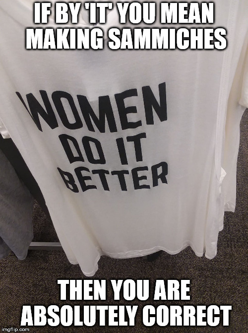 Just Joking Around | IF BY 'IT' YOU MEAN MAKING SAMMICHES; THEN YOU ARE ABSOLUTELY CORRECT | image tagged in sexist t-shirt | made w/ Imgflip meme maker