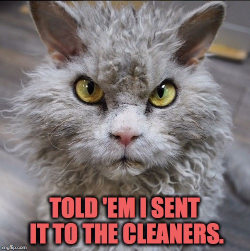 Pompous Albert | TOLD 'EM I SENT IT TO THE CLEANERS. | image tagged in pompous albert | made w/ Imgflip meme maker