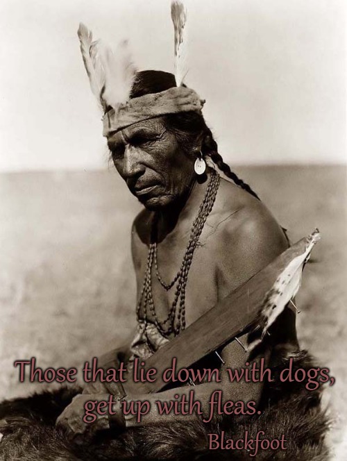 Blackfoot Wisdom | Those that lie down with dogs, get up with fleas. Blackfoot | image tagged in native american,native americans,indian chief,chief,tribe,indians | made w/ Imgflip meme maker