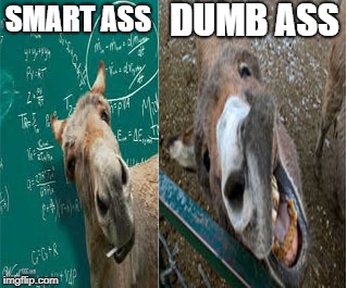DUMB ASS; SMART ASS | image tagged in dumb ass,smart ass | made w/ Imgflip meme maker