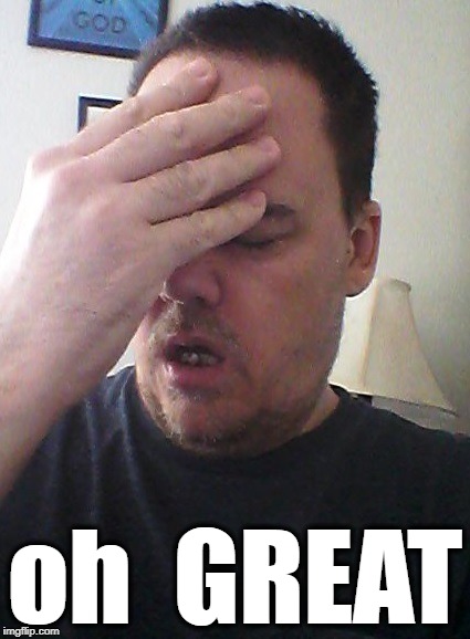 face palm | oh  GREAT | image tagged in face palm | made w/ Imgflip meme maker