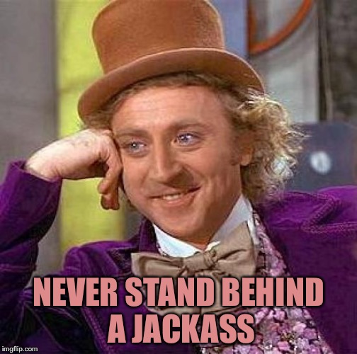 Creepy Condescending Wonka Meme | NEVER STAND BEHIND A JACKASS | image tagged in memes,creepy condescending wonka | made w/ Imgflip meme maker
