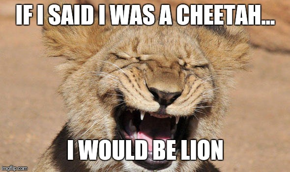 IF I SAID I WAS A CHEETAH... I WOULD BE LION | image tagged in i would be lion | made w/ Imgflip meme maker