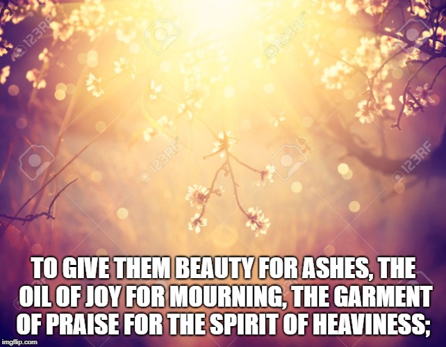 Flowers | TO GIVE THEM BEAUTY FOR ASHES, THE OIL OF JOY FOR MOURNING, THE GARMENT OF PRAISE FOR THE SPIRIT OF HEAVINESS; | image tagged in flowers | made w/ Imgflip meme maker