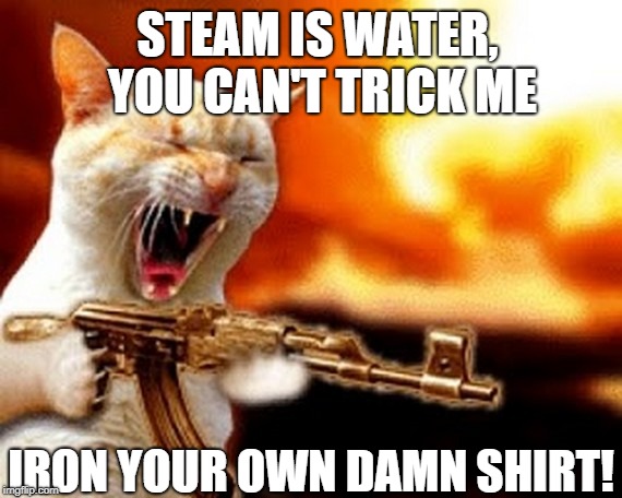 machine gun cat |  STEAM IS WATER, YOU CAN'T TRICK ME; IRON YOUR OWN DAMN SHIRT! | image tagged in machine gun cat | made w/ Imgflip meme maker