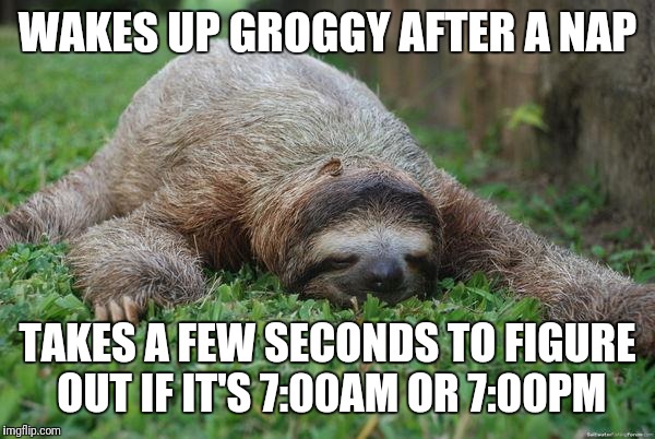 Sleeping sloth |  WAKES UP GROGGY AFTER A NAP; TAKES A FEW SECONDS TO FIGURE OUT IF IT'S 7:00AM OR 7:00PM | image tagged in sleeping sloth,memes | made w/ Imgflip meme maker