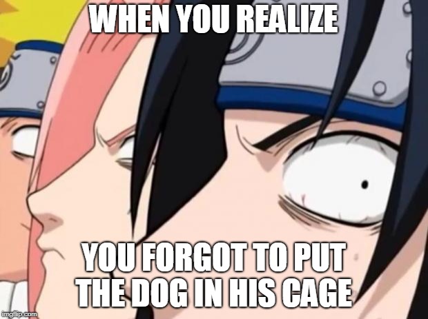 Naruto, Sasuke, and Sakura | WHEN YOU REALIZE; YOU FORGOT TO PUT THE DOG IN HIS CAGE | image tagged in naruto sasuke and sakura | made w/ Imgflip meme maker