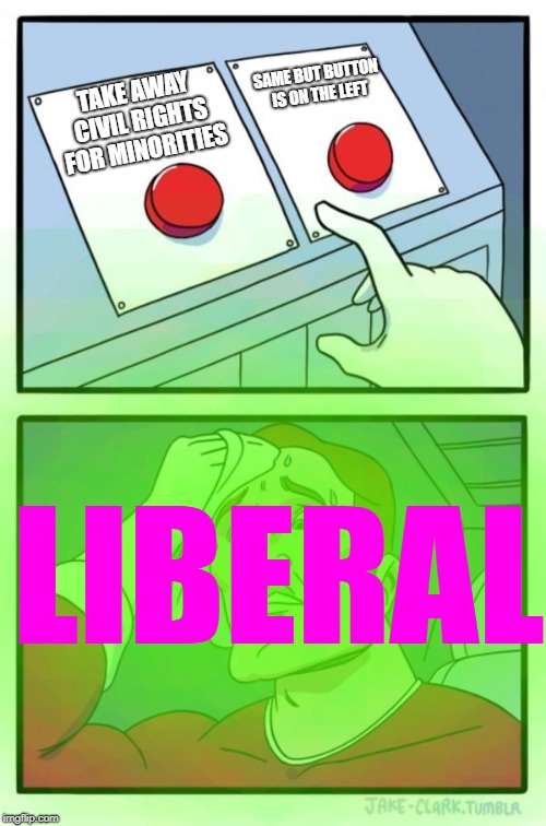 Two Buttons | SAME BUT BUTTON IS ON THE LEFT; TAKE AWAY CIVIL RIGHTS FOR MINORITIES; LIBERAL | image tagged in memes,two buttons | made w/ Imgflip meme maker