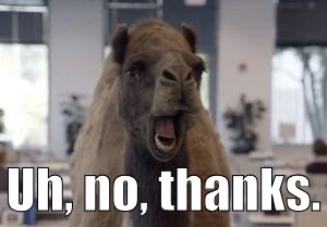 Hump Day Camel | Uh, no, thanks. | image tagged in hump day camel | made w/ Imgflip meme maker