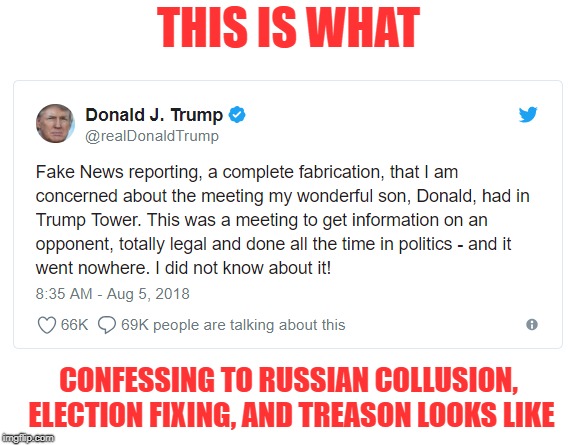 Trump Treason | THIS IS WHAT; CONFESSING TO RUSSIAN COLLUSION, ELECTION FIXING, AND TREASON LOOKS LIKE | image tagged in trump,trump treason,russian collusion,impeach trump,shitgibbon | made w/ Imgflip meme maker