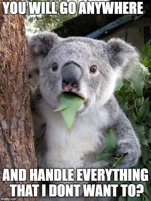 Surprised Koala Meme | YOU WILL GO ANYWHERE; AND HANDLE EVERYTHING THAT I DONT WANT TO? | image tagged in memes,surprised koala | made w/ Imgflip meme maker