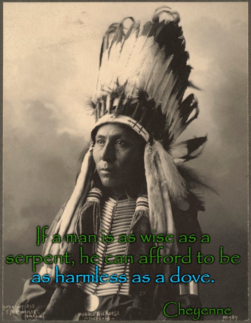 Cheyenne Wisdom | If a man is as wise as a; serpent, he can afford to be; as harmless as a dove. Cheyenne | image tagged in native american,native americans,indian chief,chief,tribe,indians | made w/ Imgflip meme maker