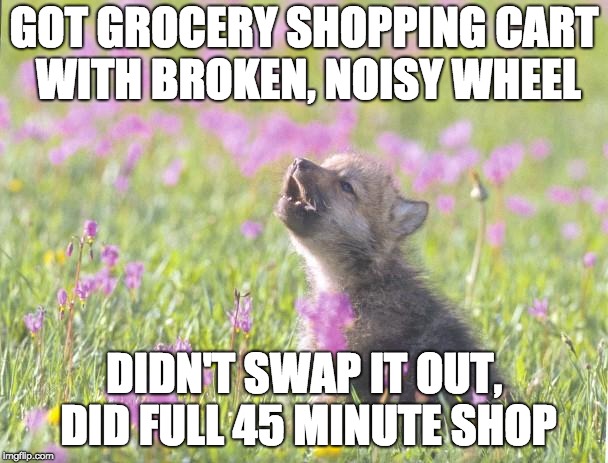 Baby Insanity Wolf Meme | GOT GROCERY SHOPPING CART WITH BROKEN, NOISY WHEEL; DIDN'T SWAP IT OUT, DID FULL 45 MINUTE SHOP | image tagged in memes,baby insanity wolf,AdviceAnimals | made w/ Imgflip meme maker