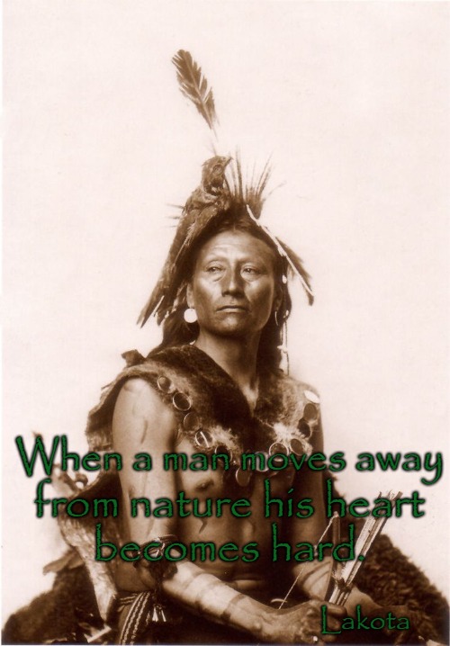 Lakota Wisdom | When a man moves away; from nature his heart; becomes hard. Lakota | image tagged in native american,native americans,indian chief,chief,tribe,indians | made w/ Imgflip meme maker