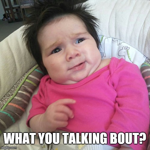 WHAT YOU TALKING BOUT? | image tagged in say what | made w/ Imgflip meme maker