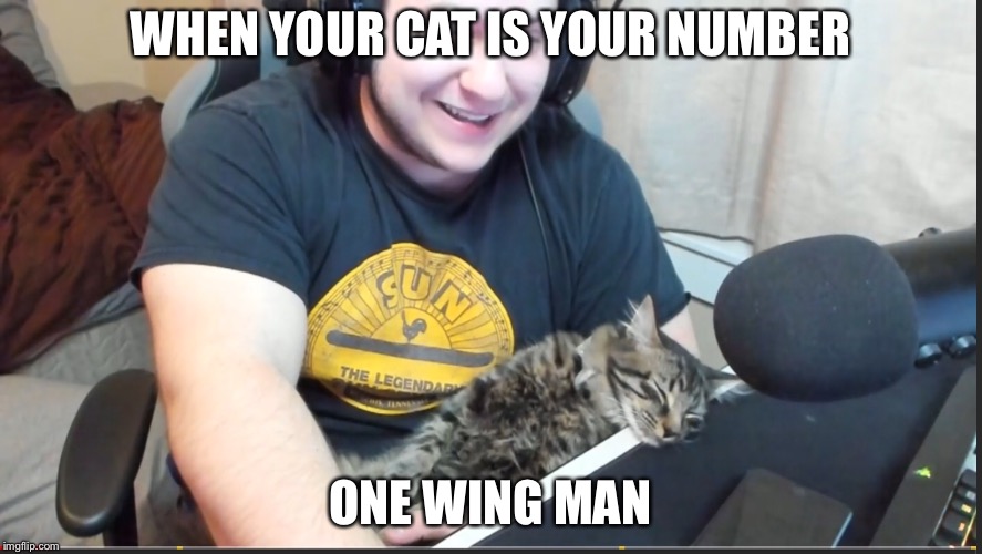 Meme  | WHEN YOUR CAT IS YOUR NUMBER; ONE WING MAN | image tagged in meme addict | made w/ Imgflip meme maker