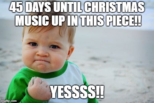Success Kid Original Meme | 45 DAYS UNTIL CHRISTMAS MUSIC UP IN THIS PIECE!! YESSSS!! | image tagged in memes,success kid original | made w/ Imgflip meme maker
