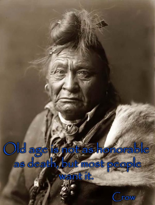 Crow Wisdom | Old age is not as honorable; as death, but most people; want it. Crow | image tagged in native american,native americans,indians,indian chief,chief,tribe | made w/ Imgflip meme maker