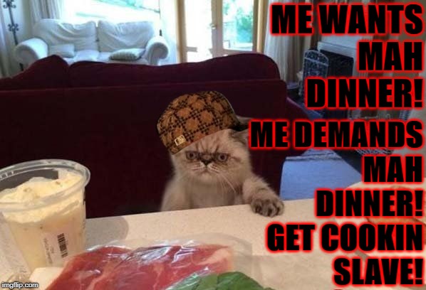 ME WANTS MAH DINNER! ME DEMANDS MAH DINNER! GET COOKIN SLAVE! | image tagged in wheres mah dinner,scumbag | made w/ Imgflip meme maker