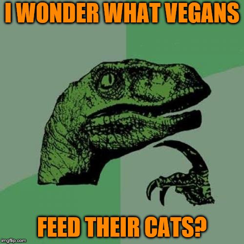 Credit: Tim Slagle | I WONDER WHAT VEGANS; FEED THEIR CATS? | image tagged in memes,philosoraptor | made w/ Imgflip meme maker