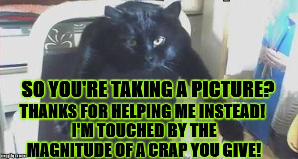 SO YOU'RE TAKING A PICTURE? THANKS FOR HELPING ME INSTEAD! I'M TOUCHED BY THE MAGNITUDE OF A CRAP YOU GIVE! | image tagged in help me turd | made w/ Imgflip meme maker