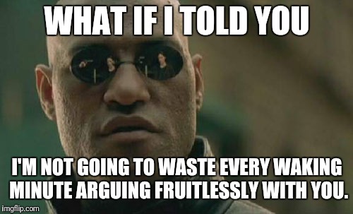 WHAT IF I TOLD YOU I'M NOT GOING TO WASTE EVERY WAKING MINUTE ARGUING FRUITLESSLY WITH YOU. | image tagged in memes,matrix morpheus | made w/ Imgflip meme maker