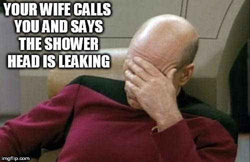 Captain Picard Facepalm Meme | YOUR WIFE CALLS YOU AND SAYS THE SHOWER HEAD IS LEAKING | image tagged in memes,captain picard facepalm | made w/ Imgflip meme maker