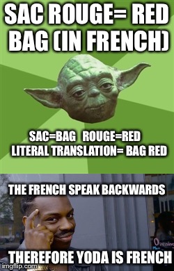Simple logic | SAC ROUGE= RED BAG (IN FRENCH); SAC=BAG   ROUGE=RED    LITERAL TRANSLATION= BAG RED; THE FRENCH SPEAK BACKWARDS; THEREFORE YODA IS FRENCH | image tagged in yoda,roll safe think about it,logic,french,memes,advice yoda | made w/ Imgflip meme maker