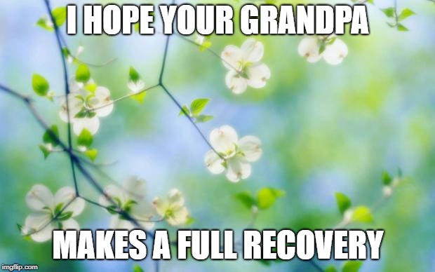 flowers | I HOPE YOUR GRANDPA MAKES A FULL RECOVERY | image tagged in flowers | made w/ Imgflip meme maker