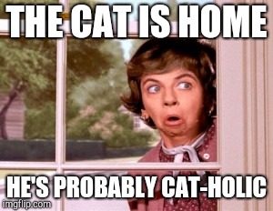 nosey neighbor | THE CAT IS HOME HE'S PROBABLY CAT-HOLIC | image tagged in nosey neighbor | made w/ Imgflip meme maker
