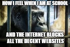 HOW I FEEL WHEN I AM AT SCHOOL; AND THE INTERNET BLOCKS ALL THE DECENT WEBSITES | image tagged in my life is sad | made w/ Imgflip meme maker