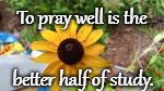 Prayer Quote - Martin Luther King | To pray well is the; better half of study. | image tagged in bible,holy bible,holy spirit,bible verse,verse,god | made w/ Imgflip meme maker
