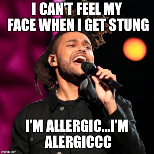 Weekend funny | I CAN’T FEEL MY FACE WHEN I GET STUNG; I’M ALLERGIC...I’M ALERGICCC | image tagged in the weekend | made w/ Imgflip meme maker