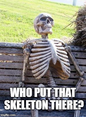 Waiting Skeleton Meme | WHO PUT THAT SKELETON THERE? | image tagged in memes,waiting skeleton | made w/ Imgflip meme maker