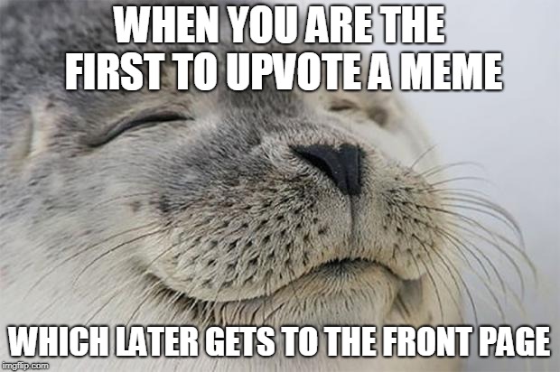 And to think, I started that | WHEN YOU ARE THE FIRST TO UPVOTE A MEME; WHICH LATER GETS TO THE FRONT PAGE | image tagged in memes,satisfied seal,funny,imgflip,front page | made w/ Imgflip meme maker