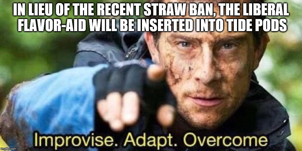 How to Keep Liberals drinking the Kool-Aid after banning straws | IN LIEU OF THE RECENT STRAW BAN, THE LIBERAL FLAVOR-AID WILL BE INSERTED INTO TIDE PODS | image tagged in improvise adapt overcome,memes,straws,plastic straws,tide pods | made w/ Imgflip meme maker