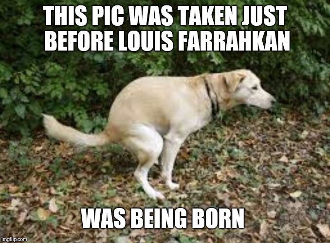 Dog pooping  | THIS PIC WAS TAKEN JUST BEFORE LOUIS FARRAHKAN; WAS BEING BORN | image tagged in dog pooping | made w/ Imgflip meme maker
