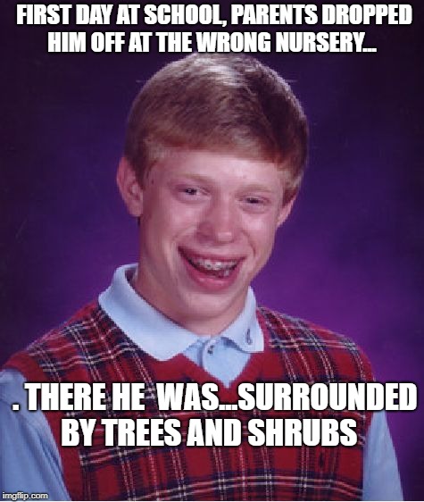 Bad Luck Brian Meme | FIRST DAY AT SCHOOL, PARENTS DROPPED HIM OFF AT THE WRONG NURSERY... . THERE HE  WAS...SURROUNDED BY TREES AND SHRUBS | image tagged in memes,bad luck brian | made w/ Imgflip meme maker