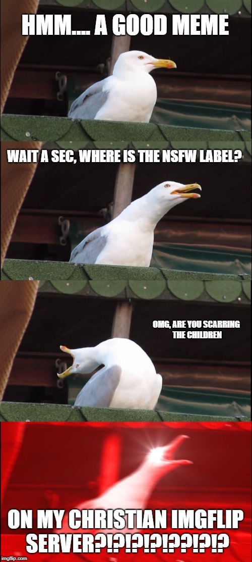 Inhaling Seagull | HMM.... A GOOD MEME; WAIT A SEC, WHERE IS THE NSFW LABEL? OMG, ARE YOU SCARRING THE CHILDREN; ON MY CHRISTIAN IMGFLIP SERVER?!?!?!?!??!?!? | image tagged in memes,inhaling seagull | made w/ Imgflip meme maker