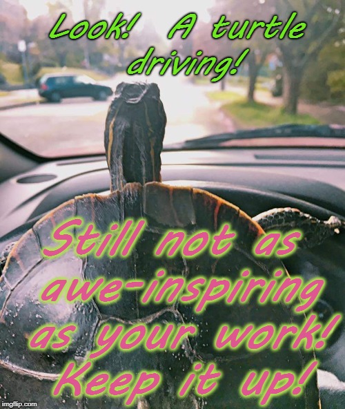 Turtle Fun | Look!  A turtle driving! Still not as awe-inspiring as your work! Keep it up! | image tagged in turtle fun | made w/ Imgflip meme maker