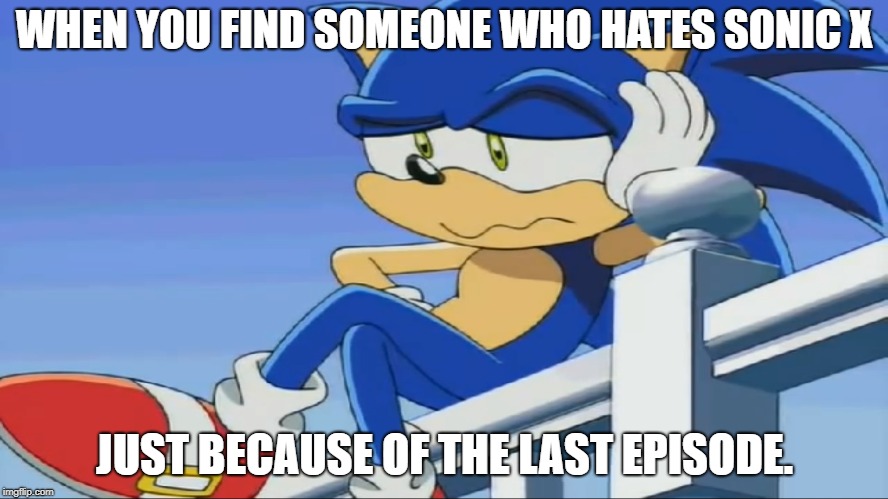 Surely, anime fans are awful. Just read this meme. | WHEN YOU FIND SOMEONE WHO HATES SONIC X; JUST BECAUSE OF THE LAST EPISODE. | image tagged in impatient sonic - sonic x | made w/ Imgflip meme maker