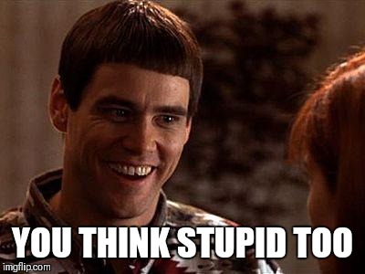 Dumb And Dumber | YOU THINK STUPID TOO | image tagged in dumb and dumber | made w/ Imgflip meme maker