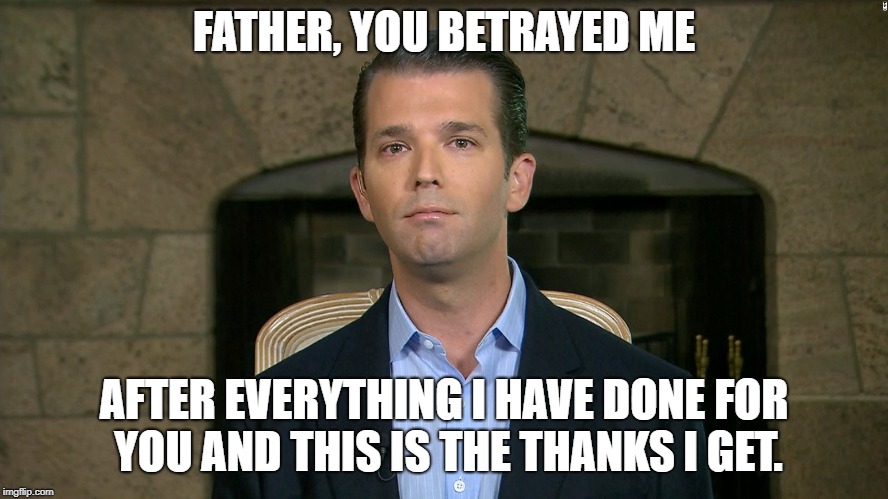 Donald Trump Jr. | FATHER, YOU BETRAYED ME; AFTER EVERYTHING I HAVE DONE FOR YOU AND THIS IS THE THANKS I GET. | image tagged in donald trump jr | made w/ Imgflip meme maker