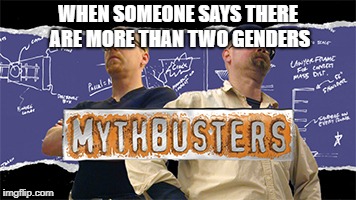 MYTHBUSTERS | WHEN SOMEONE SAYS THERE ARE MORE THAN TWO GENDERS | image tagged in memes,funny,dank memes,2 genders,mythbusters | made w/ Imgflip meme maker