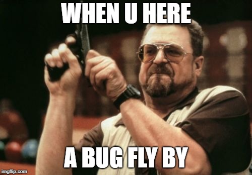 Am I The Only One Around Here Meme | WHEN U HERE; A BUG FLY BY | image tagged in memes,am i the only one around here | made w/ Imgflip meme maker