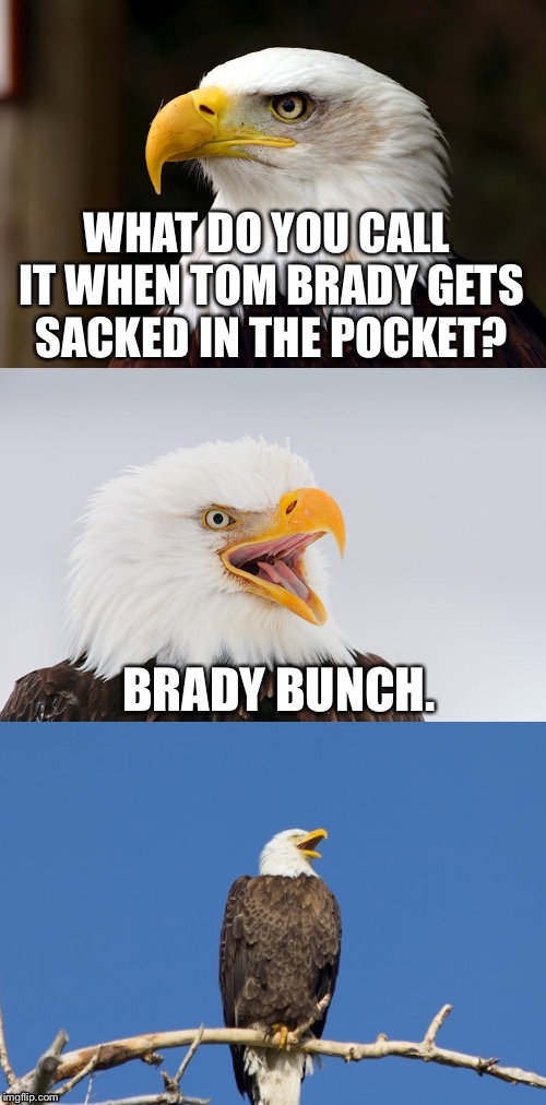 Brady Bunch | WHAT DO YOU CALL IT WHEN TOM BRADY GETS SACKED IN THE POCKET? BRADY BUNCH. | image tagged in bad pun eagle,memes,tom brady,the brady bunch,nfl football,patriots | made w/ Imgflip meme maker