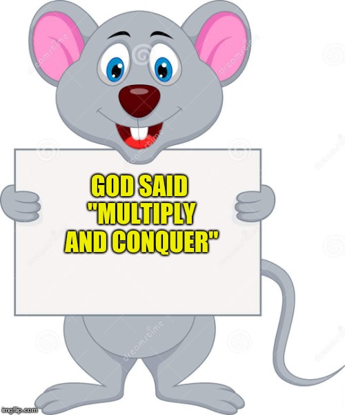 multiply and conquer | GOD SAID "MULTIPLY AND CONQUER" | image tagged in mouse,god,bible | made w/ Imgflip meme maker